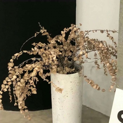 兽设拟人化设计技巧FurryQQ群